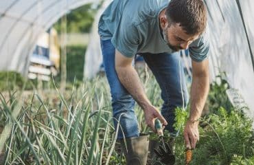 Agriculture biologique : le guichet pour percevoir une aide est ouvert