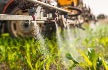 Agriculteurs : prolongation d’un an des certiphytos arrivant à échéance