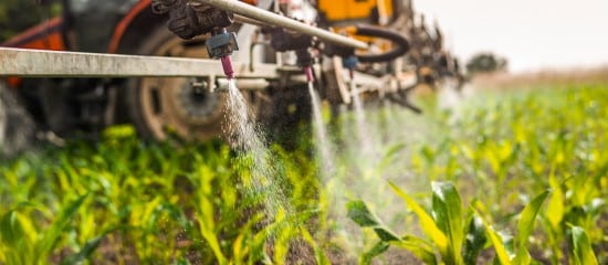 Agriculteurs : prolongation d’un an des certiphytos arrivant à échéance