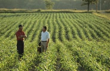 Apport du bail rural à une société : gare à l’accord préalable du bailleur !