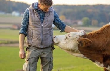 Agriculture : augmentation de plusieurs aides de la Pac au titre de 2023
