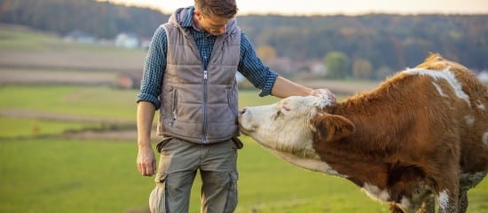 Agriculture : augmentation de plusieurs aides de la Pac au titre de 2023
