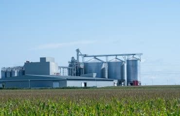 La production agricole a atteint 96,5 Md€ en 2023