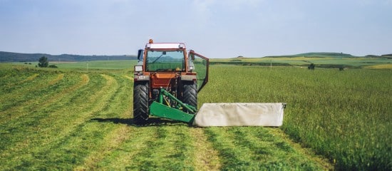 La résiliation de plein droit d’un bail rural environnemental