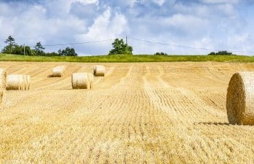 Baux ruraux : forte hausse du montant des fermages