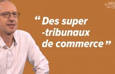 Les tribunaux des activités économiques