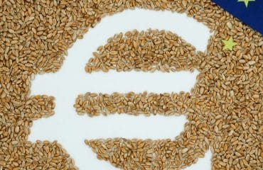Exploitants agricoles : les montants 2024 de certaines aides Pac