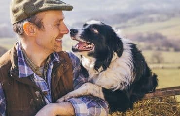Elevages ovin et caprin : aide à la protection des troupeaux contre les prédateurs