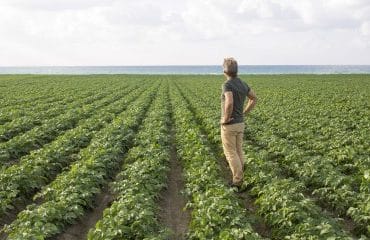 Violation du droit de préemption de l’exploitant agricole : quel délai pour contester ?