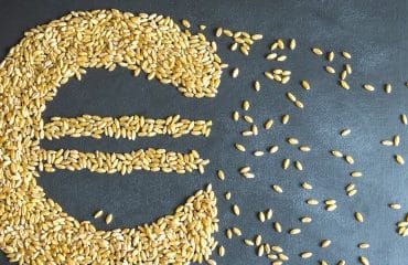Exploitants agricoles : vous pouvez demander l’aide à la trésorerie