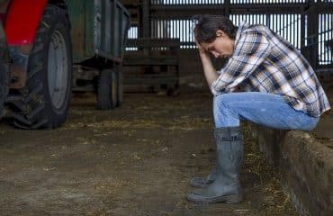 Exploitants agricoles : le dispositif de prêts structurels garantis par l’État est en place