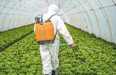 Exploitants agricoles : prolongation d’un an des certiphytos arrivant à échéance