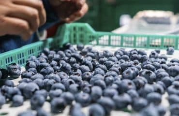 Production de fruits et légumes : produits traités au thiaclopride