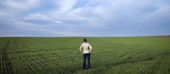 Exploitants agricoles : bénéfice d’une pension d’orphelin