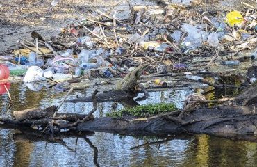 Environnement : appel dans le cadre d’un référé pénal