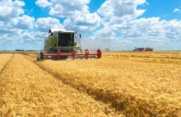 Exploitants agricoles : le calendrier de versement des aides Pac 2025