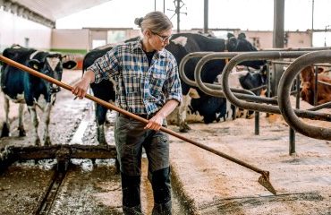 Option des exploitants agricoles pour une assiette annuelle de leurs cotisations sociales