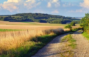 Les prix des terres agricoles ont encore augmenté en 2024 !