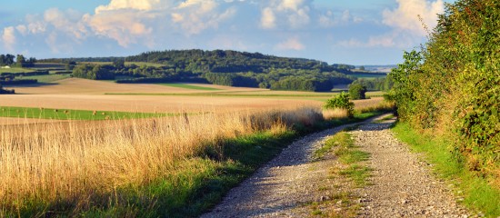 Les prix des terres agricoles ont encore augmenté en 2024 !