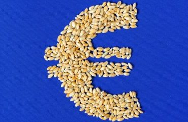 Agriculture : augmentation de plusieurs aides de la Pac au titre de 2024
