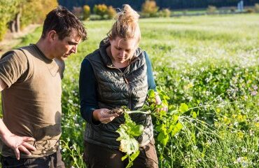 Décès d’un exploitant agricole : à qui est attribué le bail rural ?