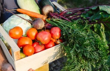 Exercice d’une activité commerciale accessoire par une société agricole : du nouveau !