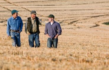 Reprise de terres agricoles données à bail par une société familiale