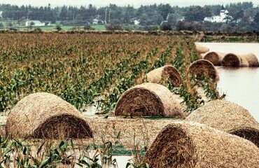 Déduction pour épargne de précaution : quelles conditions pour l’exonération fiscale ?