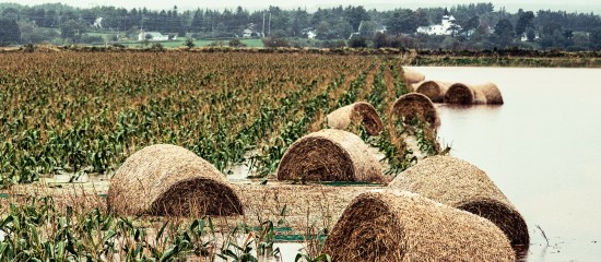 Déduction pour épargne de précaution : quelles conditions pour l’exonération fiscale ?
