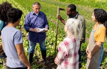 Les associations agricoles employeuses en 2024