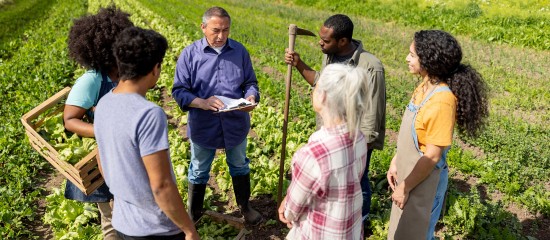 Les associations agricoles employeuses en 2024
