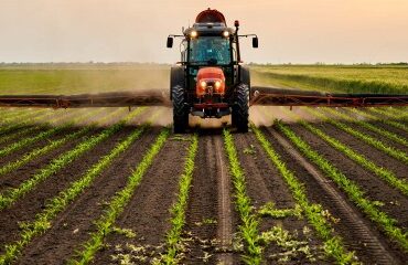 Environnement : responsabilité de l’État pour préjudice écologique