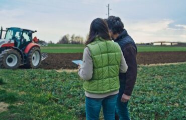 Rétrocession de parcelles agricoles par la Safer : gare à la date de dépôt des candidatures !
