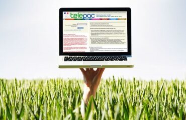 Exploitants agricoles : les modalités d’accès à Telepac sont simplifiées