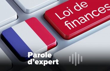 L’adoption de la loi de finances, le nouveau statut du bailleur privé et les droits des salariés élus locaux. [5 min 33 s]