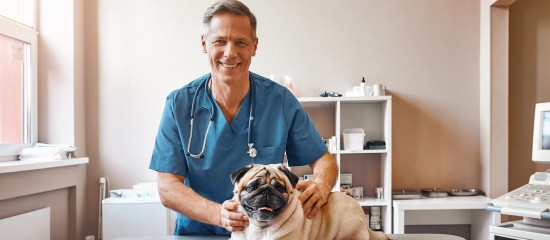 Vétérinaires : simplification de la procédure d’obtention de la subvention à l’achat d’équipements ergonomiques