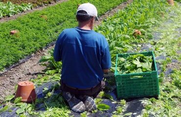 Insertion : expérimentation territoires zéro chômeur de longue durée