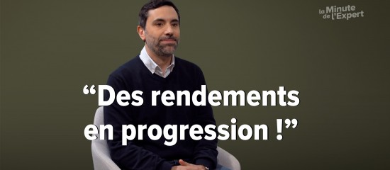 Le rendement des fonds en euros en 2025