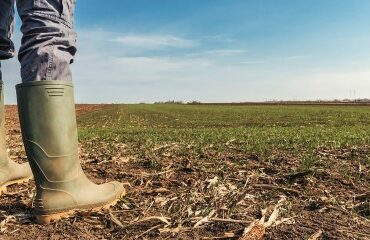 Un train de mesures fiscales pour le secteur agricole
