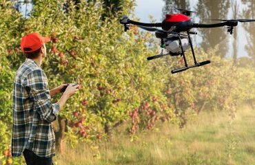 Arboriculture, viticulture : autorisation temporaire des traitements par drone en Occitanie