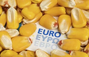 Exploitants agricoles : plus que quelques semaines pour déposer votre déclaration Pac