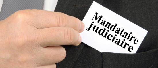 Administrateurs et mandataires judiciaires : démographie au 1er janvier 2026