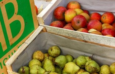 Prorogation de deux crédits d’impôt dédiés aux agriculteurs
