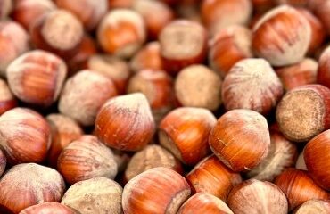 Production de noisettes : une aide pour compenser les pertes économiques