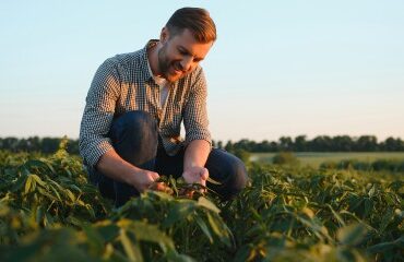 Exploitants agricoles : renforcement de la déduction pour épargne de précaution
