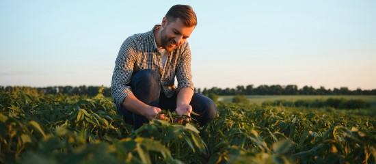 Exploitants agricoles : renforcement de la déduction pour épargne de précaution