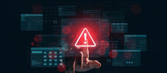 Les principales cybermalveillances qui visent les professionnels