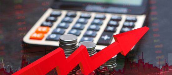 La gestion fiscale des déficits des entreprises soumises à l’impôt sur les sociétés