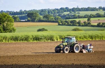 Les prix des terres agricoles à la hausse en 2025