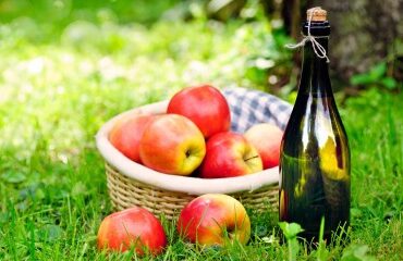 Arboriculture : aide à la plantation de pommiers à cidre
